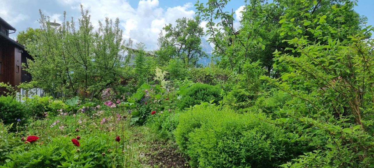 Apartements Breitenwang Ройте Екстериор снимка